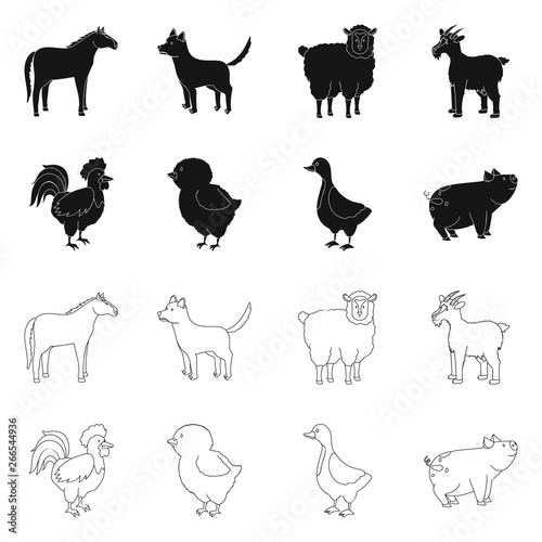 Isolated object of breeding and kitchen  icon. Set of breeding and organic  vector icon for stock.