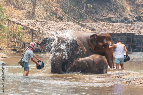 Photography Thai elephant was take a bath with mahout (elephant driver , elephant keeper) in