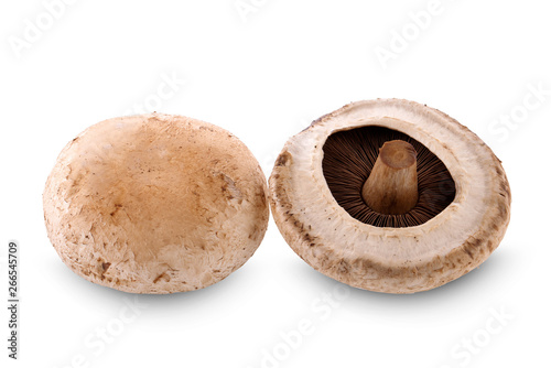 Portobello mushroom isolated on the white background.