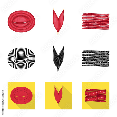 Isolated object of fiber and muscular symbol. Collection of fiber and body  stock symbol for web.