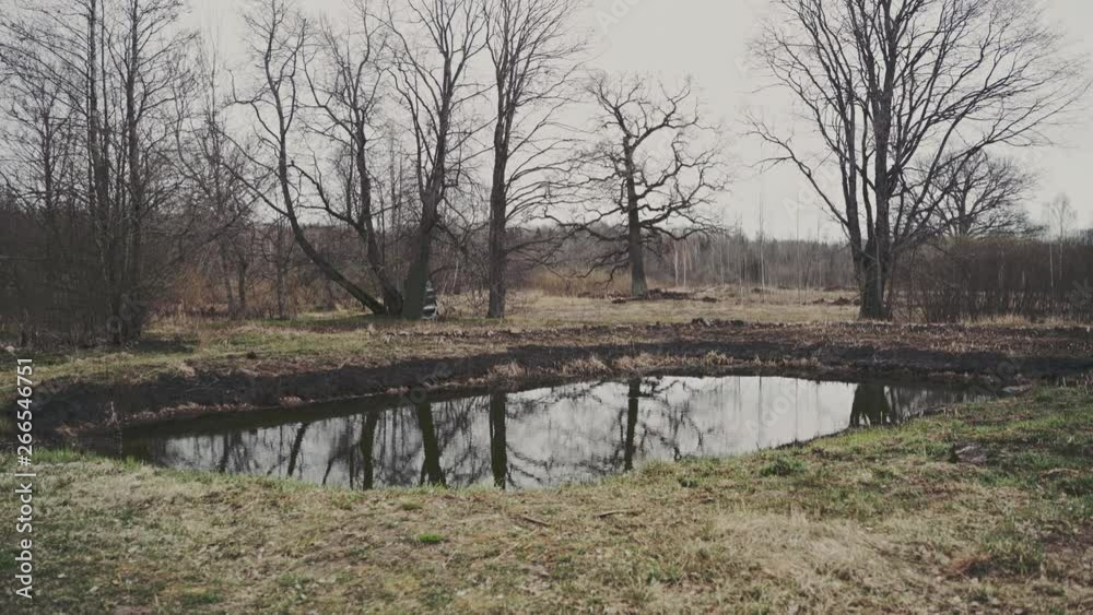 Scary looking pond with a reflection of trees on a grey cold day.
