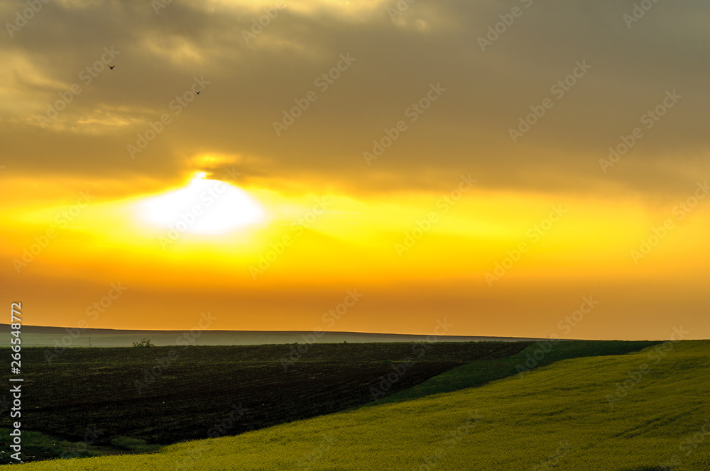 Landscape - Field and morning sun Landscape - Field and morning sun