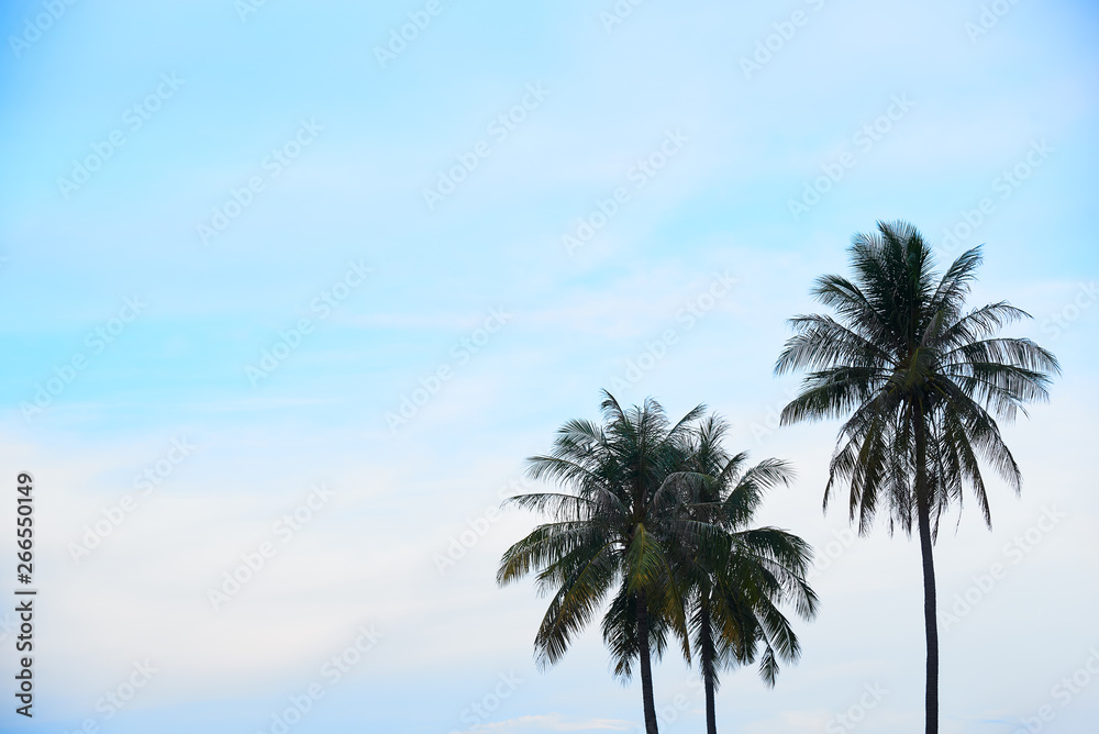 Three coconut trees and blue sky background