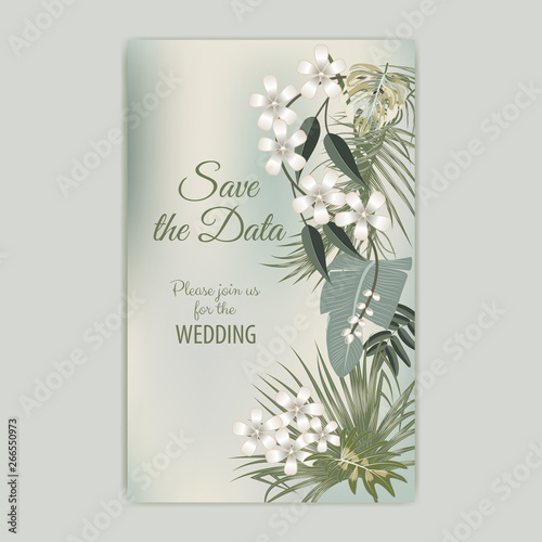 Vector tropical background in olive green colors.