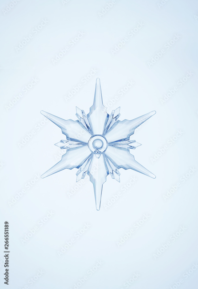 Fototapeta premium Transparent and clean snowflakes.