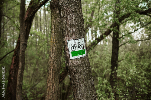 Fototapete Bike trail indicator sign made with white and green paint on tree bark