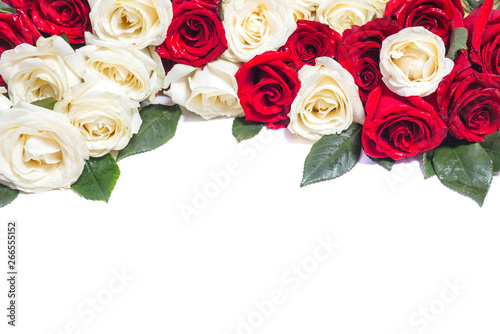Rose flowers on white background