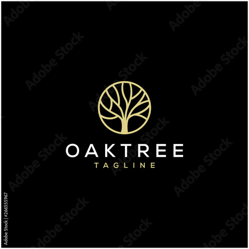 simple oak tree vector logo design