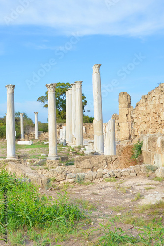 Vertical photography of well preserved Corinthian columns that are part of Salamis ruins in Turkish Northern Cyprus taken with blue sky above. Salamis was famous ancient Greek city-state