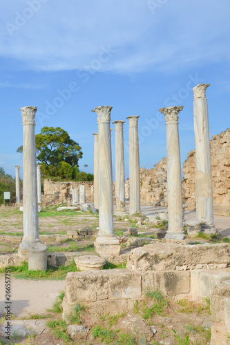 Spectacular well preserved ruins of ancient Greek city-state Salamis located in Turkish Northern Cyprus. The Corinthian columns were part of famous Salamis Gymnasium. Captured on vertical picture