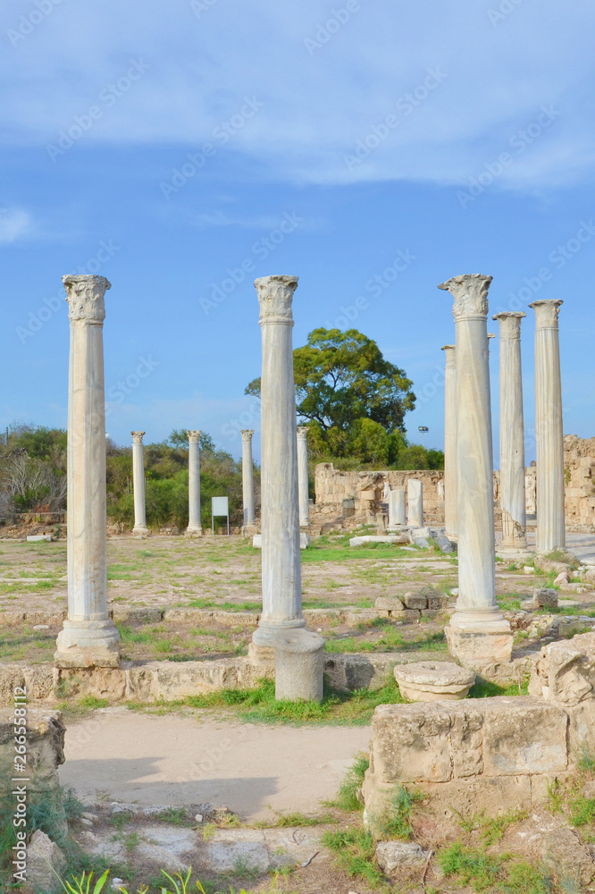 Stunning ruins of ancient Greek city Salamis located in todays Northern Cyprus. The white pillars were part of Salamis Gymnasium. Captured on vertical picture with blue sky above