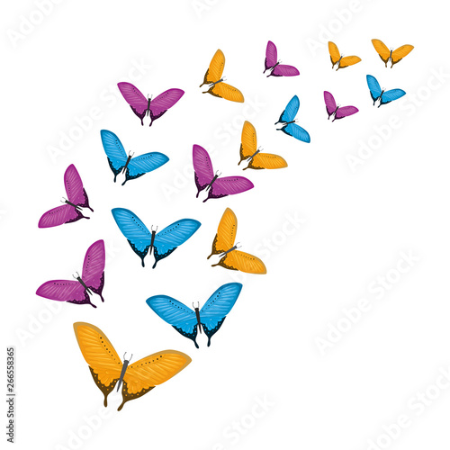 group of beautiful butterflies flying