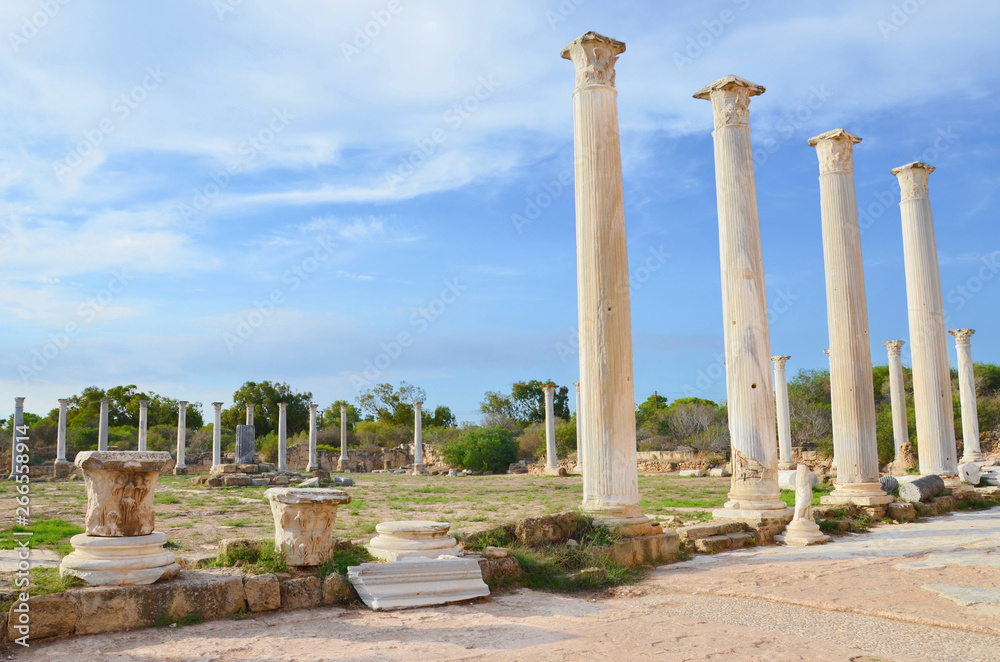 Stunning ruins of ancient city Salamis, Northern Cyprus with blue sky above. Salamis was a Greek city-state. The Corinthian columns were part of famous Salamis Gymnasium. Popular Tourist attraction