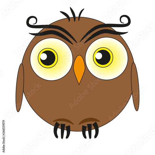 Funny fat owl.