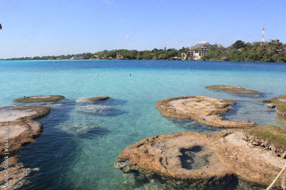 lagune stromatolite