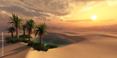 Oasis with palm trees at sunset in the sandy desert photo