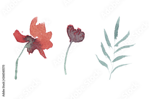 hand drawn beautiful colorful watercolor set of red flowers and leaves isolated on white background