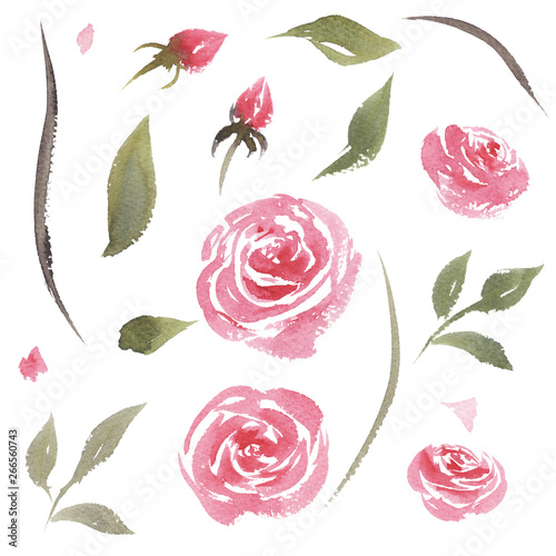 hand drawn beautiful colorful vintage watercolor set with flowers roses and leaves isolated on white background