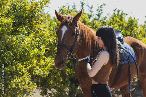 young woman takes care of her horse in equestrian