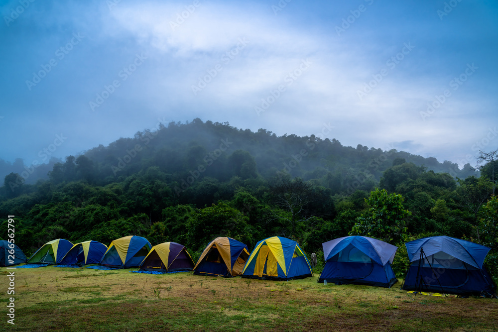 Popular tourist tents come to experience nature in the forest by resting and inhaling natural ozone.