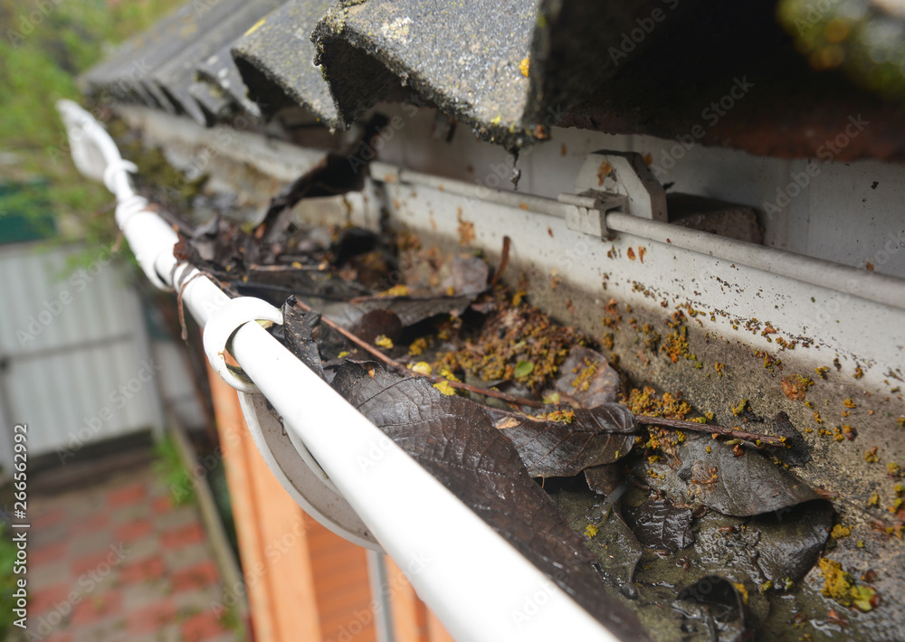 Rain Gutter Cleaning from Leaves and Dirt. Roof Gutter Drainage Cleaning Tips. Clean Your