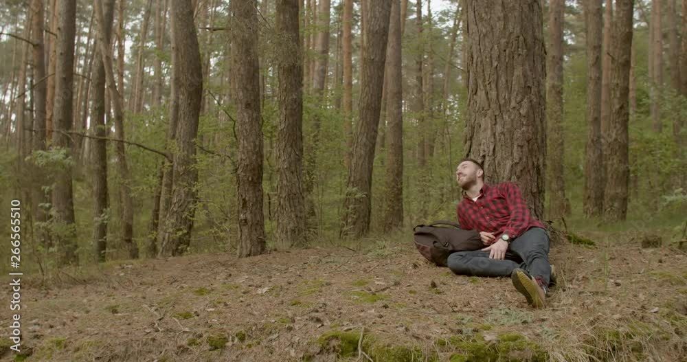 Tourist man in checked red shirt and backpack resting near old pine tree in the forest Tourist man in checked red shirt and backpack resting near old pine tree in the forest
