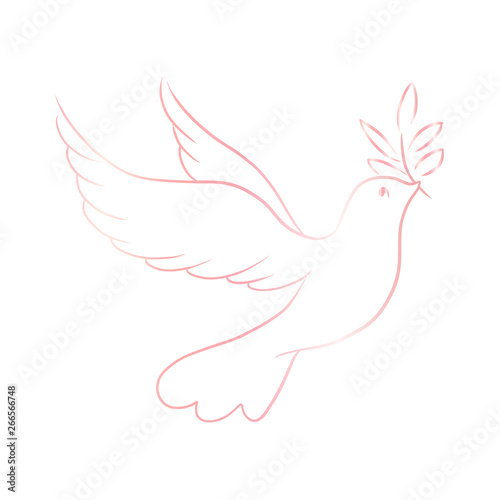 Beautiful line sketch dove bird vector illustration