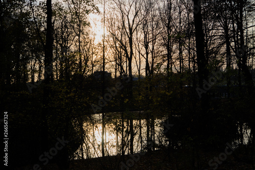 Silhouette trees and sunset on a lake