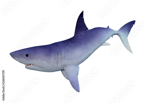 3D Rendering Shark on White