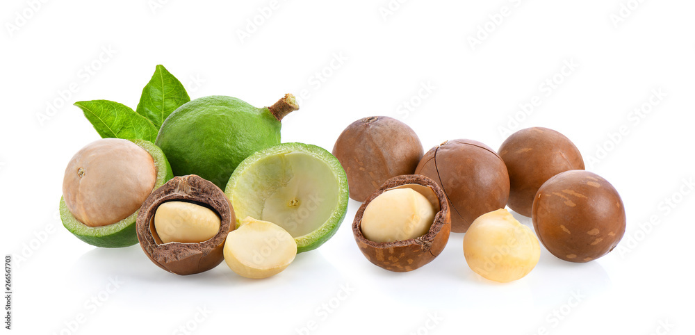 macadamia nuts isolated on white background.
