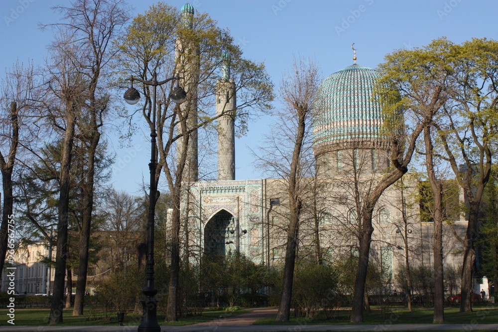 trees on the background of the mosque of St. Petersburg    