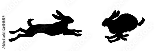 Fotografia black isolated silhouettes of galloping hares on white background,