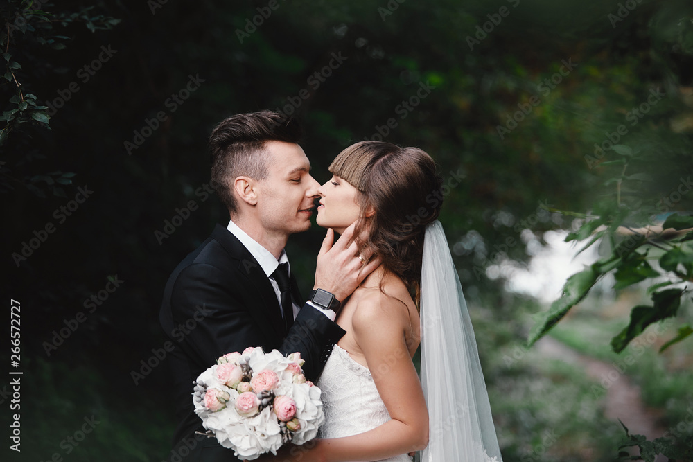 Bride and groom in a park kissing.couple newlyweds bride and groom at a wedding in nature green forest are kissing photo portrait.Wedding Couple. Newlyweds. Bride and groom in a park kissing.couple newlyweds bride and groom at a wedding in nature green forest are kissing photo portrait.Wedding Couple. Newlyweds.