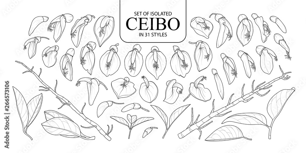 Set of isolated Ceibo in 31 styles. vector de Stock | Adobe Stock