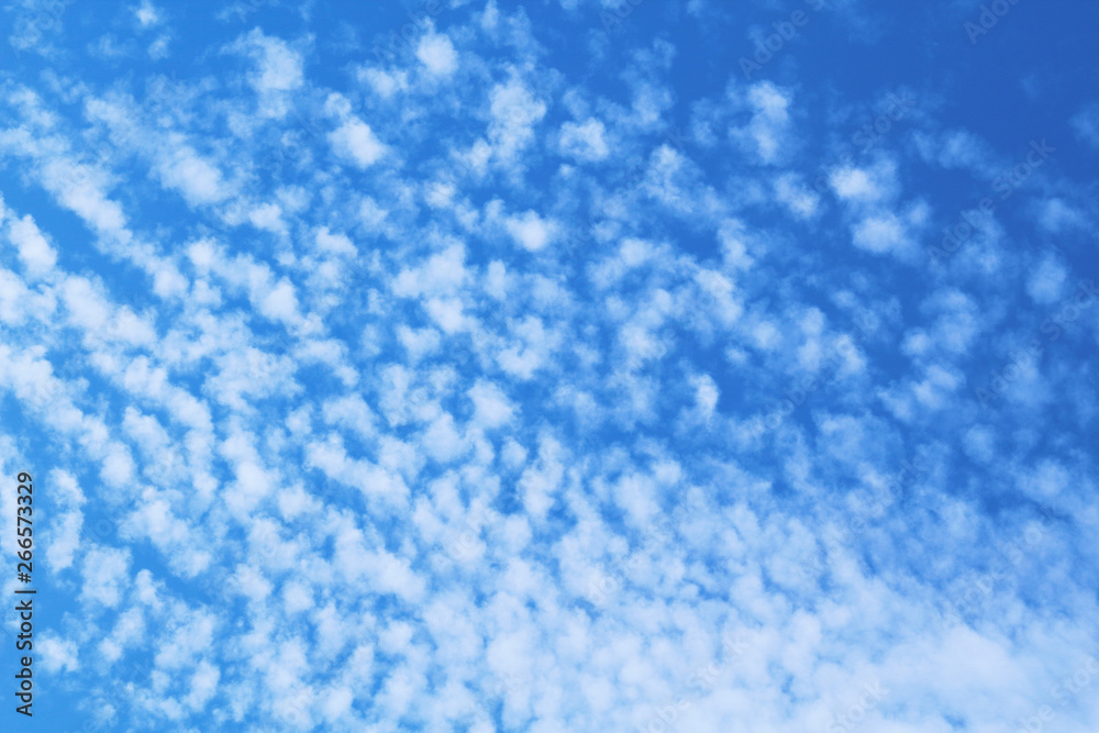 Beautiful fluffy cirrus clouds. Background. Landscape. Beautiful fluffy cirrus clouds. Background. Landscape.