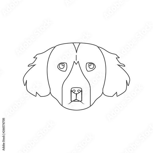 Setter face icon. Element of dog for mobile concept and web apps icon. Outline, thin line icon for website design and development, app development photo
