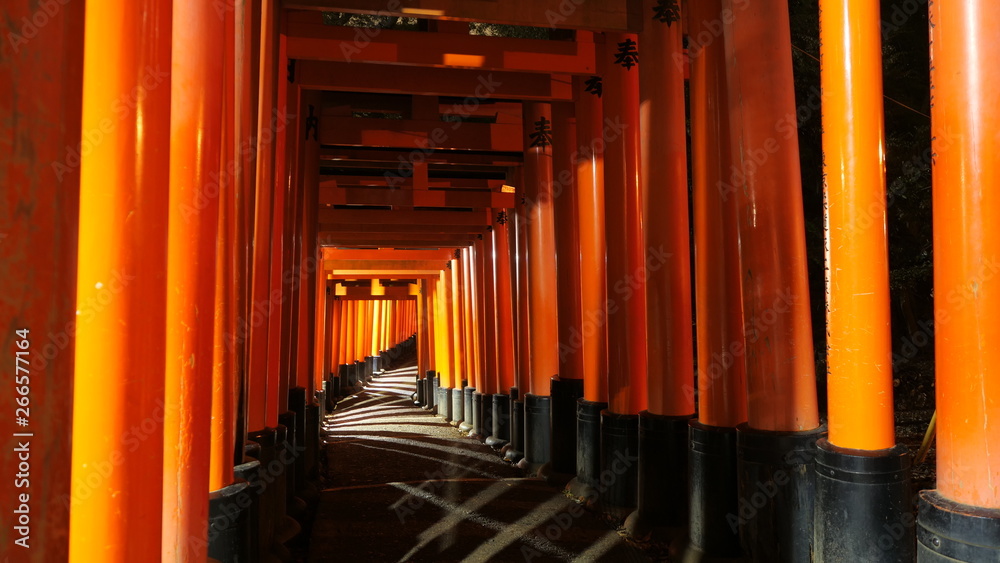 千本鳥居 千本鳥居