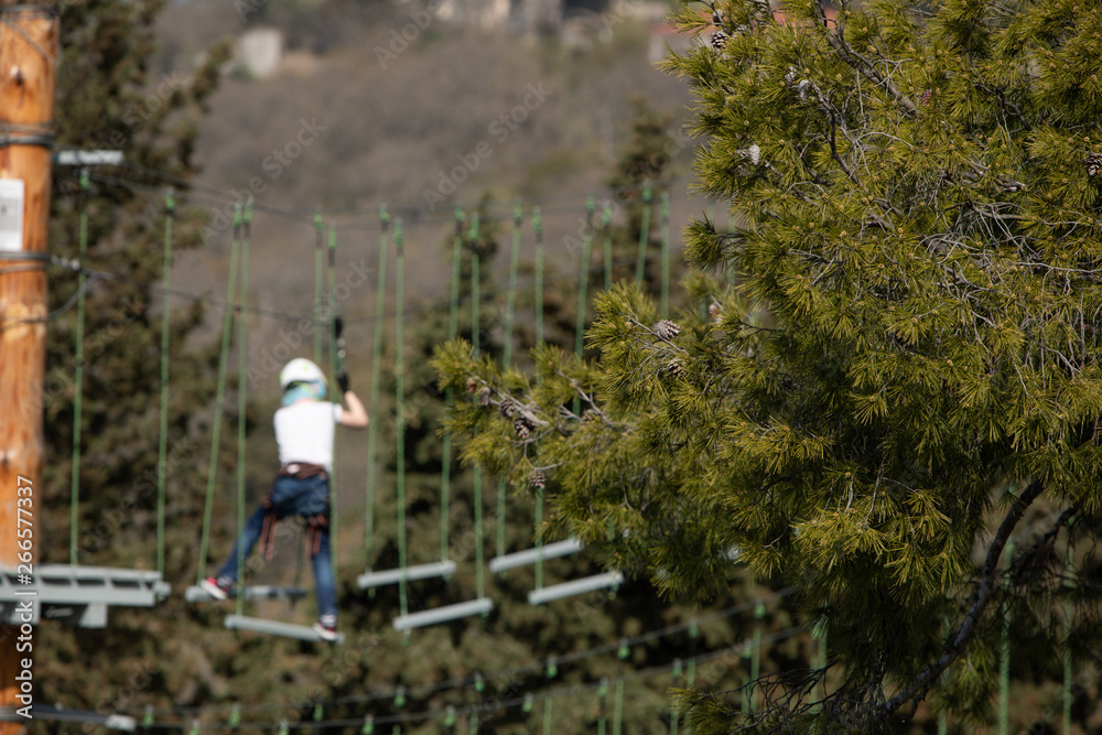 Blurred boy climbing in a rope park. A big pine in the foreground Blurred boy climbing in a rope park. A big pine in the foreground