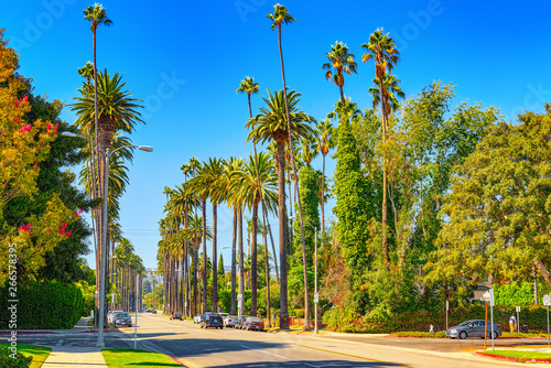 Urban views of the Beverly Hills area and residential buildings on the Hollywood hills.