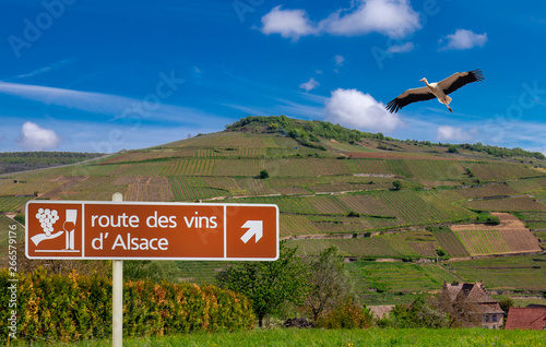 Wegweiser Weinstraße Elsass mit Weinberg und Storch im Flug