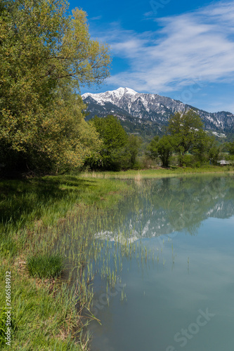 springtime landscape with snowcapped mountains and pond in green forest