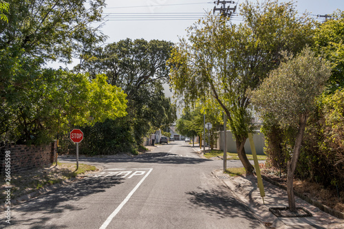 Street in the town of Claremont, Cape Town, South Africa.  photo