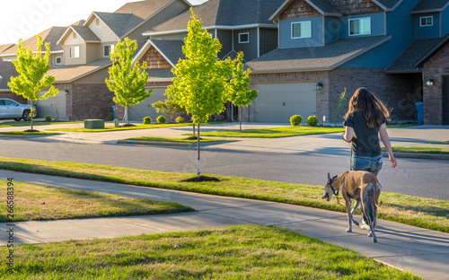 Young woman walking dog in modern residential houses neighborhood street in Bentonville, Northwest Arkansas, sunny flare day, fast growing city  lifestyle photo