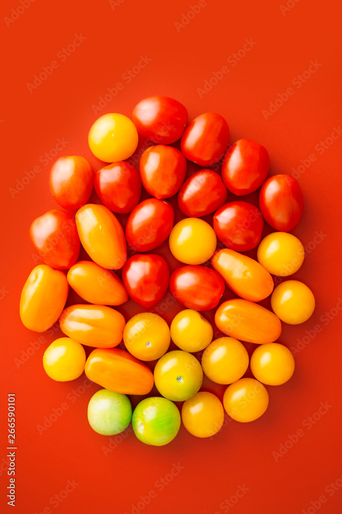 Cherry tomato pattern on a red background viewed from above. Red, orange, yellow and green tomatoes isolated on a solid background. Top view Cherry tomato pattern on a red background viewed from above. Red, orange, yellow and green tomatoes isolated on a solid background. Top view