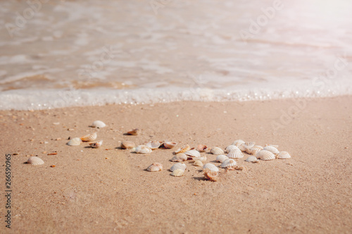 Pile of seashells on a red sand lying in disorder © Valentina