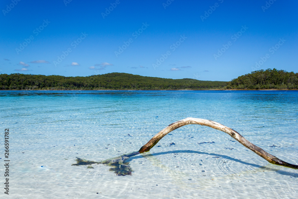 Obraz premium Lake Mackenzie on Fraser Island off the Sunshine of Queensland is a beautiful freshwater lake popular with tourists who visit Fraser Island. Queensland, Australia