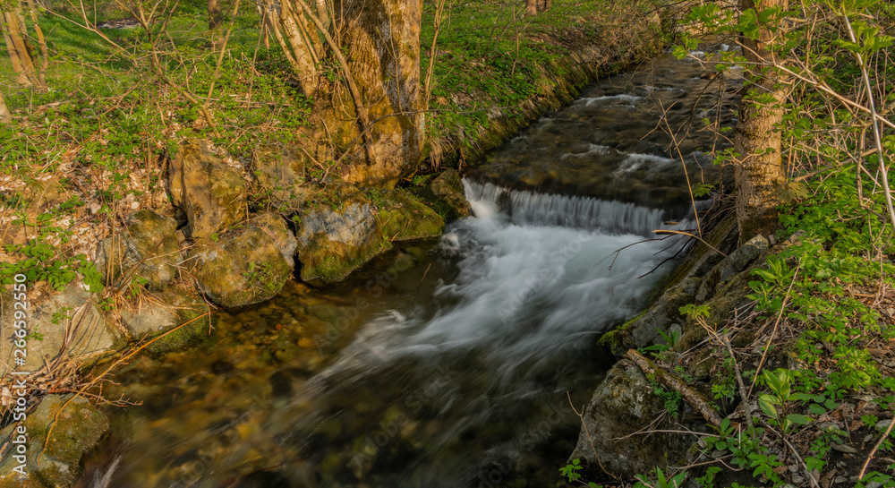 Branna river in spring sunny evening with fresh green grass in alley Branna river in spring sunny evening with fresh green grass in alley