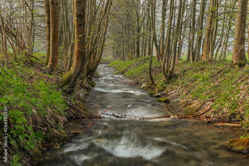 Branna river in spring sunny evening with fresh green grass in alley Branna river in spring sunny evening with fresh green grass in alley