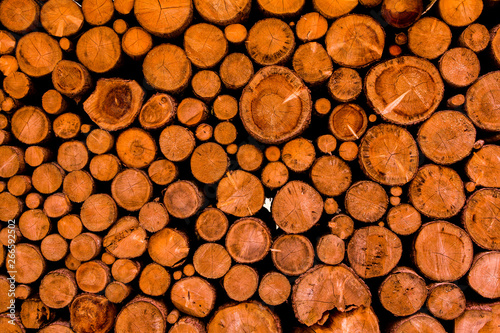 Cut tree timber. Background image of a cut tree. Pile of wood logs. Natural wooden background.