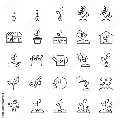 Growing plants. Sprout in the ground. Farming and gardening, icon set. Sprout care, linear icons. Plant in the ground, greenhouse and hydroponic systems. Line with editable stroke photo